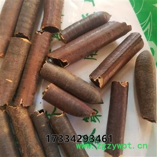 便秘果 腊肠果 腊肠树果 缅甸大解果实阿勃勒牛角树 波斯皂荚 一袋250克图3