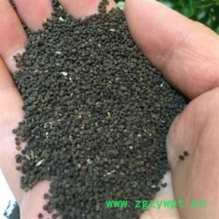 诺源药材行中药材正品白花菜子 白花菜籽图2