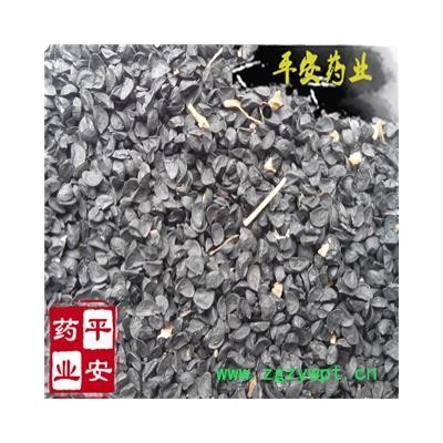 平安药业 葱子 正品 葱籽 过筛除尘 杂质少 经济实惠