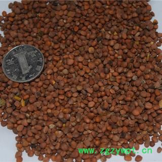 诺源药材行楮实子净货  正品无硫图2