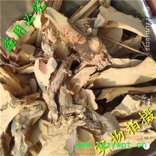 平安药业 五指毛桃地下统片 别称 五爪龙 五指毛桃根 五猪母藤 牛奶根 五指牛奶 掌叶榕 佛掌榕 丫枫小树 土北芪图2