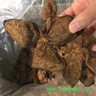 诺源药材行陈皮 新会陈皮  广东新会陈皮图2