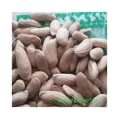 安祁名药正品芒果核  杧果核