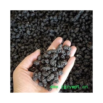 安祁名药优质选货 桑葚 颗粒饱满干净无硫