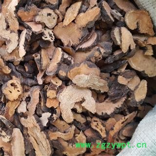 小丽百草行拳参 草河车产地山东含量高可供饮片厂药厂图2