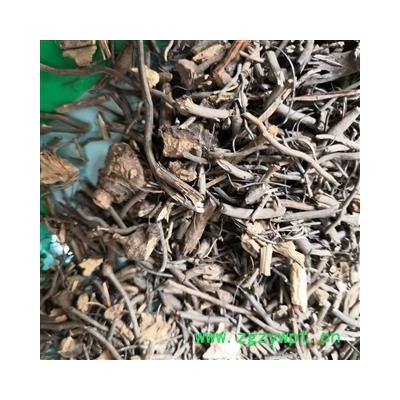 安祁名药铁篱笆果 铁篱笆根