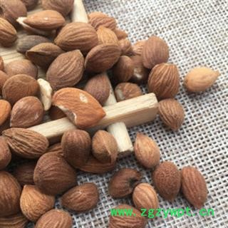 安祁名药桃仁 山桃仁图2