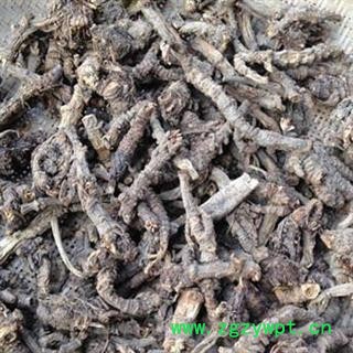 小丽百草行羌活 羌活个子、片统货 无硫无添加图2