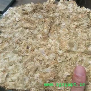 安祁名药啤酒花图2