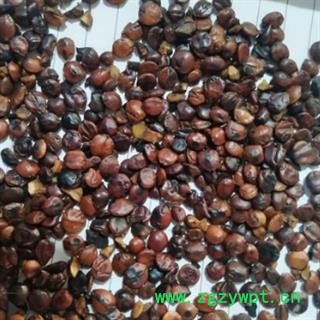 安祁名药酸枣仁 枣仁图2