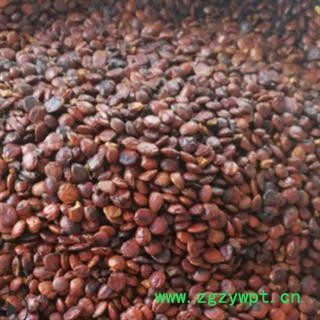 安祁名药酸枣仁 枣仁图3