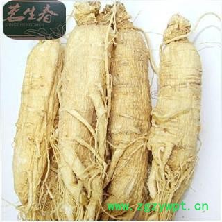 白参 生晒参25支原皮全须人参 茗生春药材总公司 一手货源 7天无理由退换图2