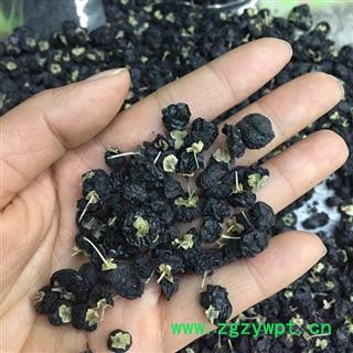 野生黒枸杞 中等颗粒 饱满、无青果 质量保证