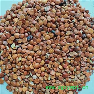 进口枣仁 本店新到进口生枣仁好货干净无杂质 产地 海外图4