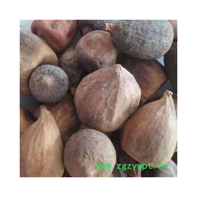 奶母果 统货 产地 广西壮族自治区