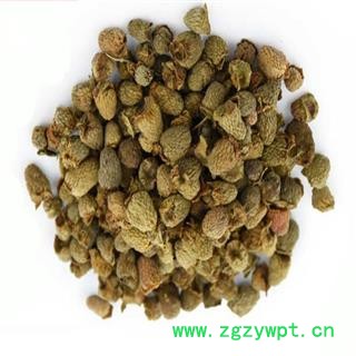 煜庭药业 覆盆子图2