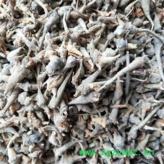 三七 三七芽头 产地 云南省文山壮族苗族自治州文山县图2