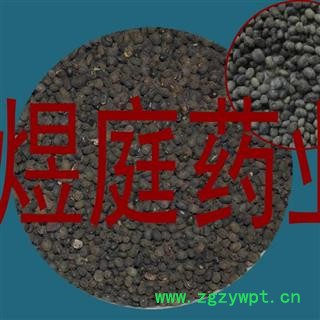 煜庭药业 野料豆 零乌豆 马料豆 细黑豆 马豆图4