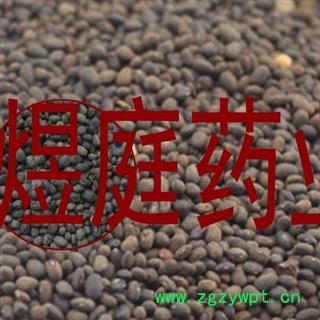 煜庭药业 野料豆 零乌豆 马料豆 细黑豆 马豆图3
