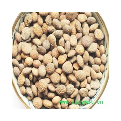 煜庭药业 蕤仁 美仁子 蕤子