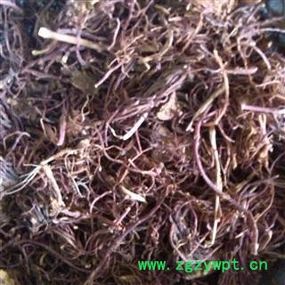 紫菀 1000克促销批发价大统产地直销 产地 安徽省亳州市谯城区 大货批发价图3