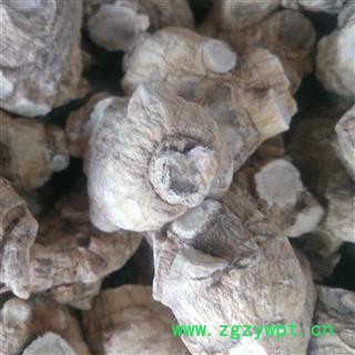 西洋参个 西洋参粒头20-30g 产地 辽宁省图3