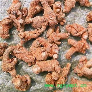 三七 水洗三七80头 1000克促销批发价产地 云南省文山壮族苗族自治州文山县大货批发价图2