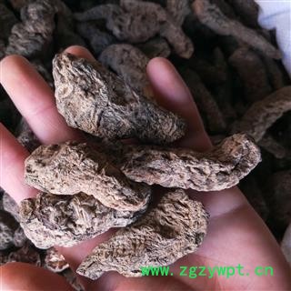 生地黄个 生地统个 产地 河南省焦作市图2