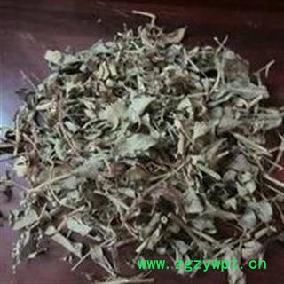 瑞森药材行花生叶  新货长果叶 花生秧叶 干花生叶图2