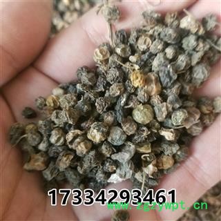 龙葵 龙葵果 野葡萄图3