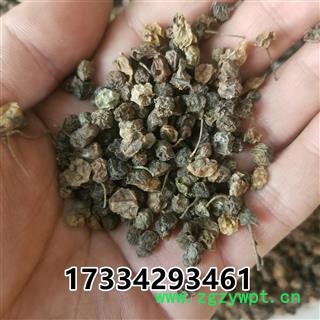 龙葵 龙葵果 野葡萄图4