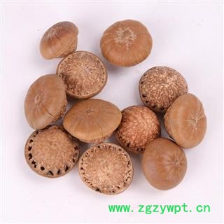 瑞森药材行风流果 厚鳞柯 壮阳果 补肾果 益肾子 马牯 捻碇果 辗垫栗 厚鳞石栎 木栎子 大头椎图3