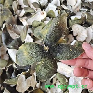 诺源中药材正品青皮 四花青皮 手工精选图2