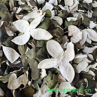 诺源中药材正品青皮 四花青皮 手工精选图3