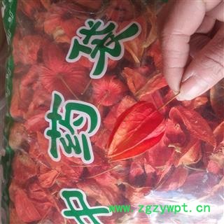 诺源药材行选货锦灯笼  红姑娘 挂金灯图2