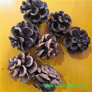 诺源药材行优质白松塔 松果 松球图2