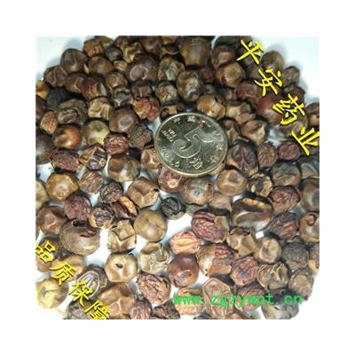 平安药业 功劳子 枸骨子 正品 促销 药店诊所医院专供各类冷背中药