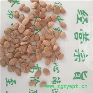 诺源药材行栝楼 瓜蒌  瓜篓子 瓜米图3