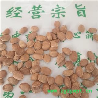 诺源药材行栝楼 瓜蒌  瓜篓子 瓜米图2