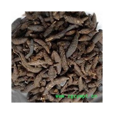 小丽百草行  两头尖新货