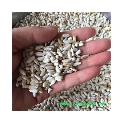 安祁名药优质新货红花 红花籽