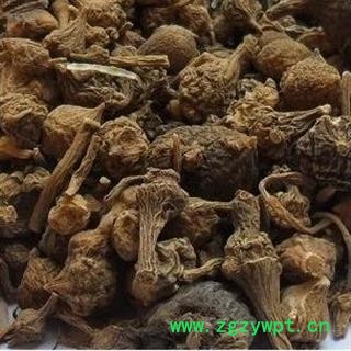 小丽百草行新货扣子七  珠儿参 纽扣子选货图2