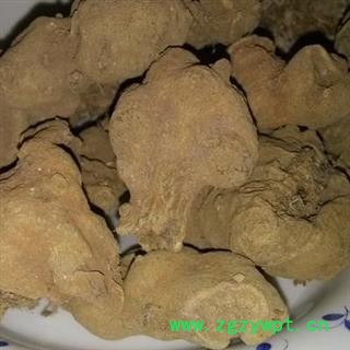 小丽百草行三七 菊三七 金不换 紫三七 铁罗汉图2