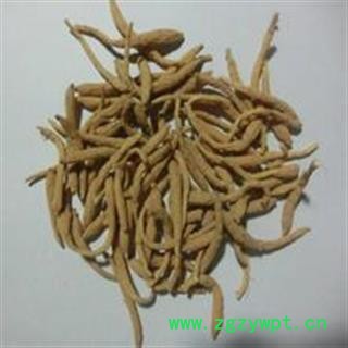 小丽百草行中药材太子参统货产地贵州图2