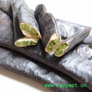 安祁名药大皂角  皂荚  大皂荚图2