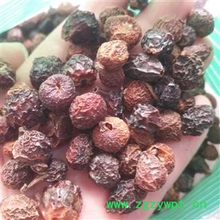 安祁名药刺玫果  野刺玫果 玫瑰果图2