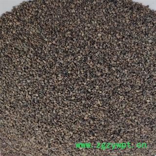 安祁名药地肤子 川地肤子图2