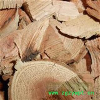 小丽百草行 雷公藤 黄藤、黄腊藤、菜虫药、红药、水莽草图2