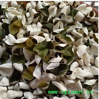 安祁名药青皮 四花青皮图2