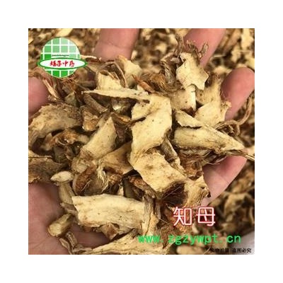 知母 知母丁 统货 产地 安徽省亳州市 买好药找娟子